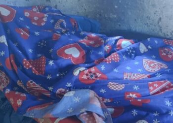 Kindia : meurtre d’une fillette de 12 ans à Bangouya, un suspect interpellé