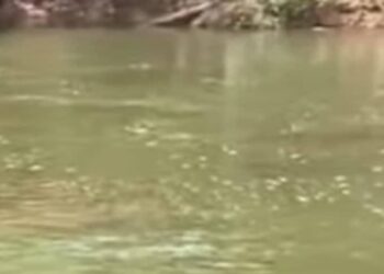 Mandiana: plongée fatale à Sokouraba, le corps du jeune mécanicien retrouvé après 24 heures