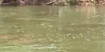 Mandiana: plongée fatale à Sokouraba, le corps du jeune mécanicien retrouvé après 24 heures