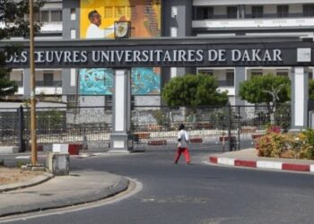59 enseignants-chercheurs sénégalais recrutés en Guinée : « 41 étaient sans emploi, 6 retraités et seulement 12 en activité »
