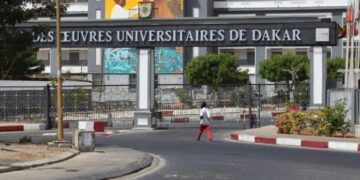 59 enseignants-chercheurs sénégalais recrutés en Guinée : « 41 étaient sans emploi, 6 retraités et seulement 12 en activité »