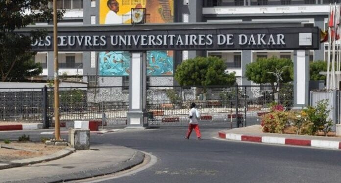 59 enseignants-chercheurs sénégalais recrutés en Guinée : « 41 étaient sans emploi, 6 retraités et seulement 12 en activité »
