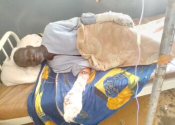 Tougué: un léopard sème la panique et blesse grièvement un citoyen