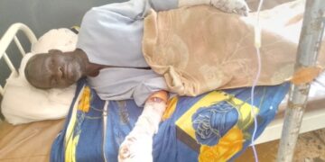 Tougué: un léopard sème la panique et blesse grièvement un citoyen