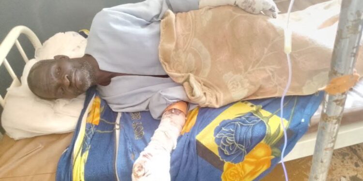 Tougué: un léopard sème la panique et blesse grièvement un citoyen