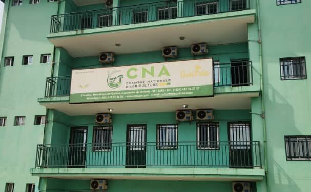 Procédure CNA–Afriland: la chambre nationale d&rsquo;agriculture rétablit les faits et menace de poursuites contre toute atteinte à son intégrité