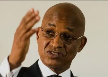 Croissance de 7,1 % en Guinée en 2025: Cellou Dalein Diallo relativise
