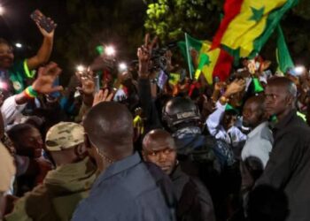 Sacre des Lions de la Teranga à la CAN : la joie des Sénégalais résidant en Guinée