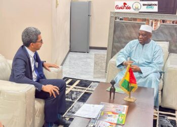 Dr Morissanda Kouyaté à l’UE: « si les visas durent, nous aussi, les visas dureront… »