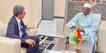 Dr Morissanda Kouyaté à l’UE: « si les visas durent, nous aussi, les visas dureront… »