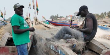 Kaporo : l’inquiétante montée de la consommation de drogue au port artisanal