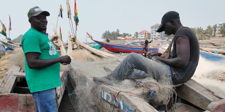 Kaporo : l’inquiétante montée de la consommation de drogue au port artisanal
