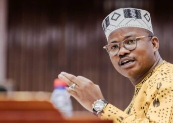 Statut des anciens chefs de l’État: la plénière du CNT reportée au 10 février