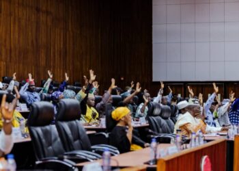 Sécurité, pension, privilèges… le CNT vote la loi portant statut des anciens présidents