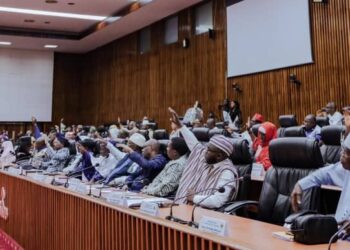 Plénière du CNT : 2 financements approuvés pour la protection sociale et le corridor routier Guinée-Sénégal