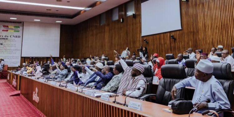 Plénière du CNT : 2 financements approuvés pour la protection sociale et le corridor routier Guinée-Sénégal