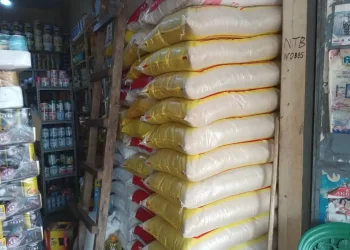 Marchés de Conakry : des différences relevées entre les tarifs officiels et les prix réels