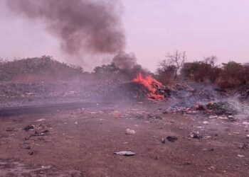 Fria : 540 kg de produits impropres détruits sous le contrôle de l’ONCQ