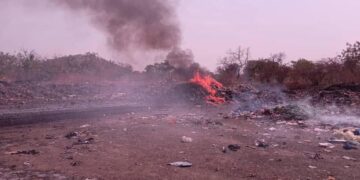 Fria : 540 kg de produits impropres détruits sous le contrôle de l’ONCQ