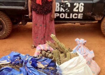 Mandiana : 34 kg de chanvre indien saisis, une présumée trafiquante interpellée par la BAC 26