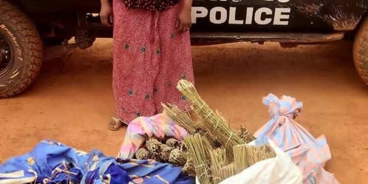 Mandiana : 34 kg de chanvre indien saisis, une présumée trafiquante interpellée par la BAC 26