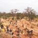 Mandiana : 10 orpailleuses périssent dans l’effondrement d’un site minier à Kondianakoura