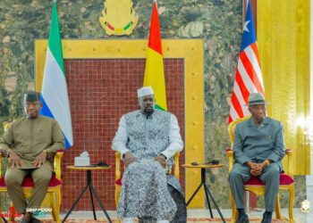 Différend frontalier : les chefs-d&rsquo;Etats du Libéria et de la Sierra Leone ont reconnu « qu&rsquo;il s&rsquo;agit de portions du territoire guinéen » (DIRPA)