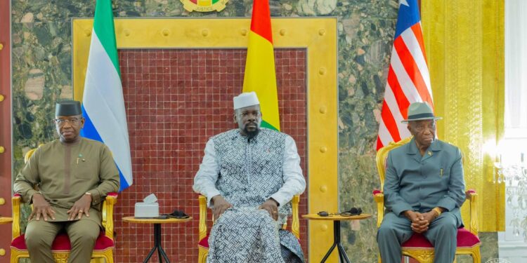 Différend frontalier : les chefs-d&rsquo;Etats du Libéria et de la Sierra Leone ont reconnu « qu&rsquo;il s&rsquo;agit de portions du territoire guinéen » (DIRPA)