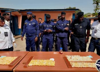 Guinée : 346 boules de cocaïne saisies, 5 suspects arrêtés par l’OCAD