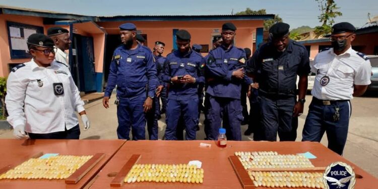 Guinée : 346 boules de cocaïne saisies, 5 suspects arrêtés par l’OCAD