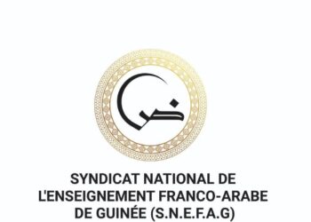 Égypte: plus de 30 étudiants guinéens détenus, décès tragique d’Aboubacar Savané, alerte du SNEFAG