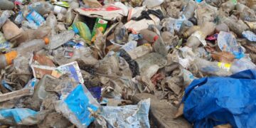Guinée : le MATD met en garde contre l’usage des plastiques à usage unique interdits