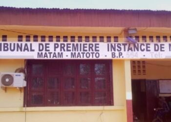 Mafanco : 10 ans de prison pour tentative d’exportation de cocaïne vers l’Europe