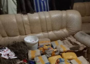 Koundara : 15 kg de chanvre indien saisis, 5 suspects interpellés