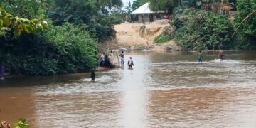 Tensions à la frontière Guinée–Liberia : le calme revient à Guékédou