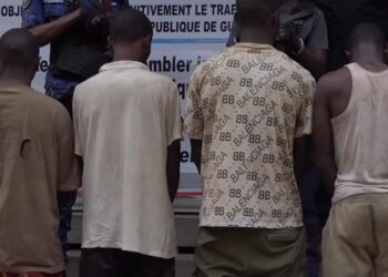 Conakry : un groupe de présumés malfaiteurs arrêté