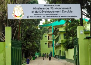 Ministère de l’Environnement : Moustapha Le Grand Sylla nommé chef de cabinet