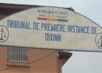 TPI de Dixinn : Mamadou Dian Diallo condamné à 18 mois de prison ferme pour menaces et violences contre sa mère