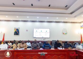 Projet Simandou : Simfer et BAOWU présentent l&rsquo;étude de faisabilité pour une usine de pelletisation de 2 millions de tonnes par an