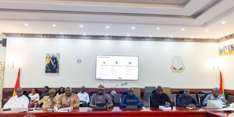 Projet Simandou : Simfer et BAOWU présentent l&rsquo;étude de faisabilité pour une usine de pelletisation de 2 millions de tonnes par an