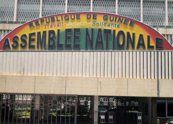 Nouvelle Assemblée nationale : les grands gagnants du scrutin du 31 mai