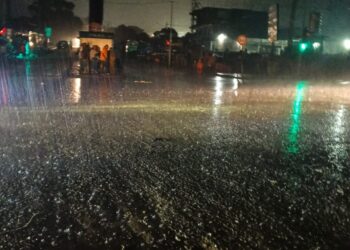 Météo : des orages et des pluies modérées annoncés en Basse, Moyenne et Guinée Forestière (ANM)