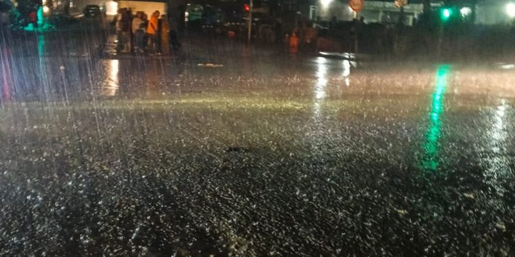 Météo : des orages et des pluies modérées annoncés en Basse, Moyenne et Guinée Forestière (ANM)