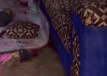 Entag Nord T6 : une femme enceinte de huit mois, mère de six enfants, tuée par balle