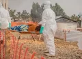 Le bilan de l&rsquo;épidémie d&rsquo;Ebola franchit le cap des 1 000 morts en RDC et en Ouganda, alerte l&rsquo;OMS