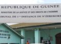 TPI N’Zérékoré : une candidate condamnée pour fraude, un autre détenu remis en liberté