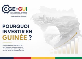 Pourquoi investir en Guinée ? Une terre d’opportunités portée par un secteur privé engagé 