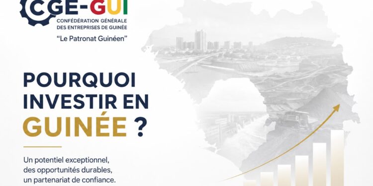 Pourquoi investir en Guinée ? Une terre d’opportunités portée par un secteur privé engagé 