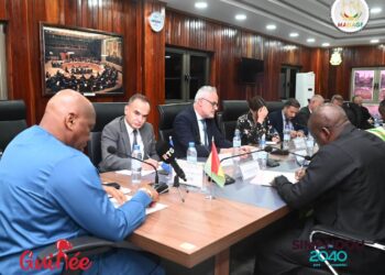 Réponse aux restrictions sur les visas de l’UE : trois mesures annoncées par la Guinée 