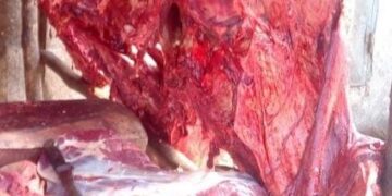 Labé : le prix du kilogramme de viande baisse à 50 000 GNF dès le 1er août